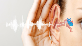 بیماریهای خود ایمنی و تاثیر آن بر کم شنوایی