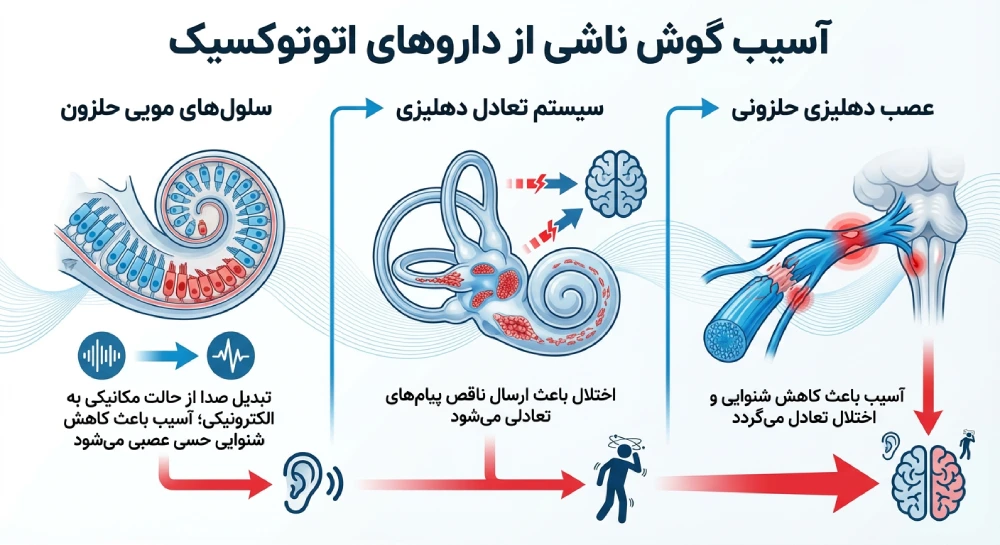 چه تغییراتی در گوش ایجاد می شود ؟